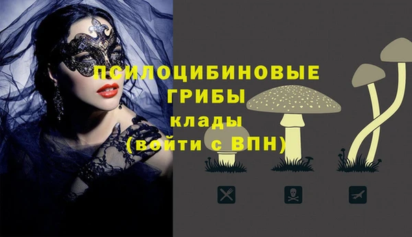 ГАЛЛЮЦИНОГЕННЫЕ ГРИБЫ Волосово