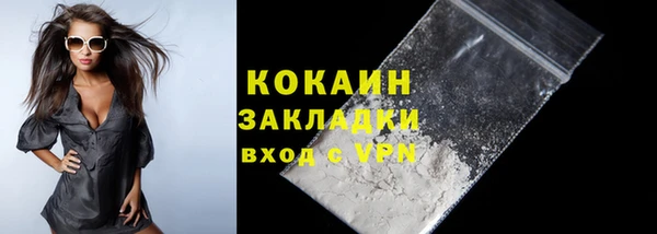 индика Сосновый Бор