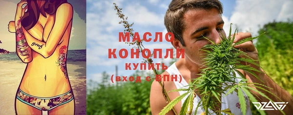 индика Сосновый Бор