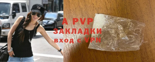 PSILOCYBIN Вяземский